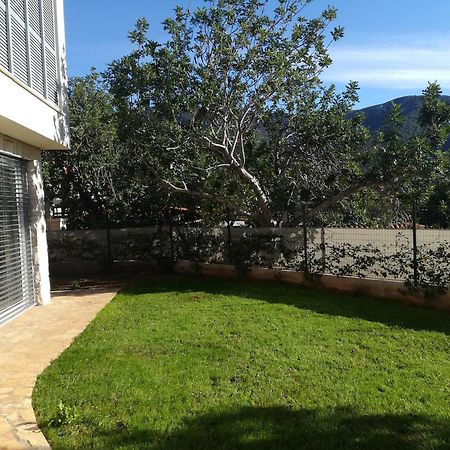 M&D Appartments Komiža Eksteriør bilde